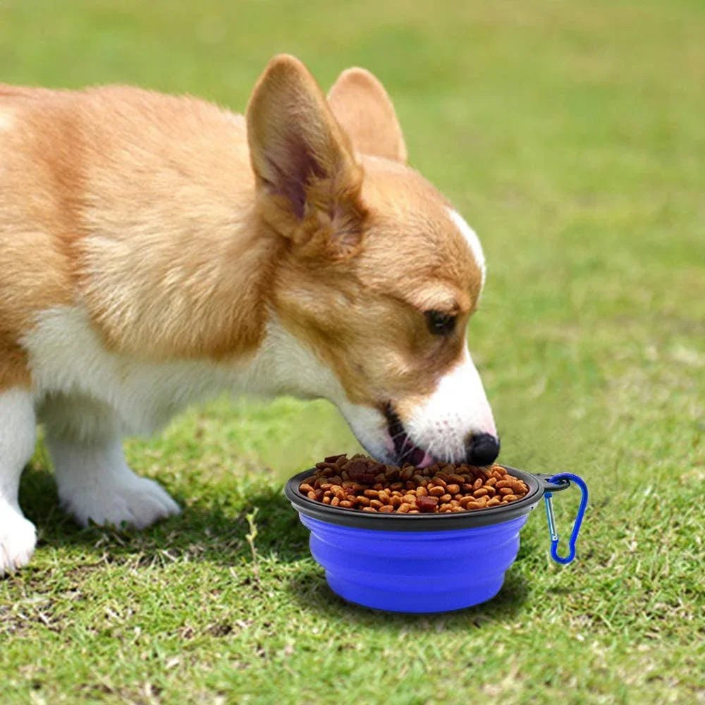 Collapsible Travel Dog Bowl 1000ML - The Fluff Lab Australia