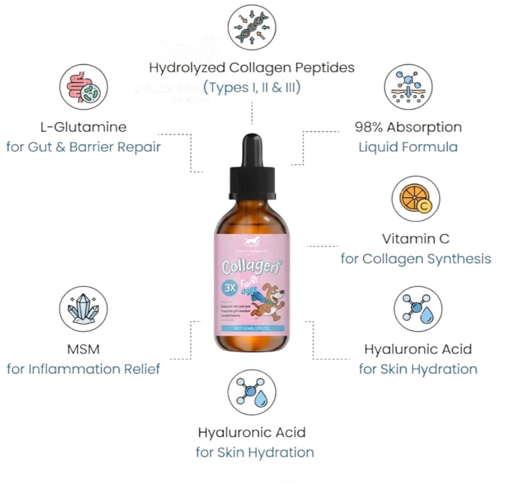 Daily Mobility Serum for Dogs - The Fluff Lab Australia