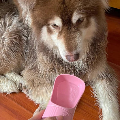 FluffFeast™ - 2 - in - 1 Pet Travel Bottle - The Fluff Lab Australia