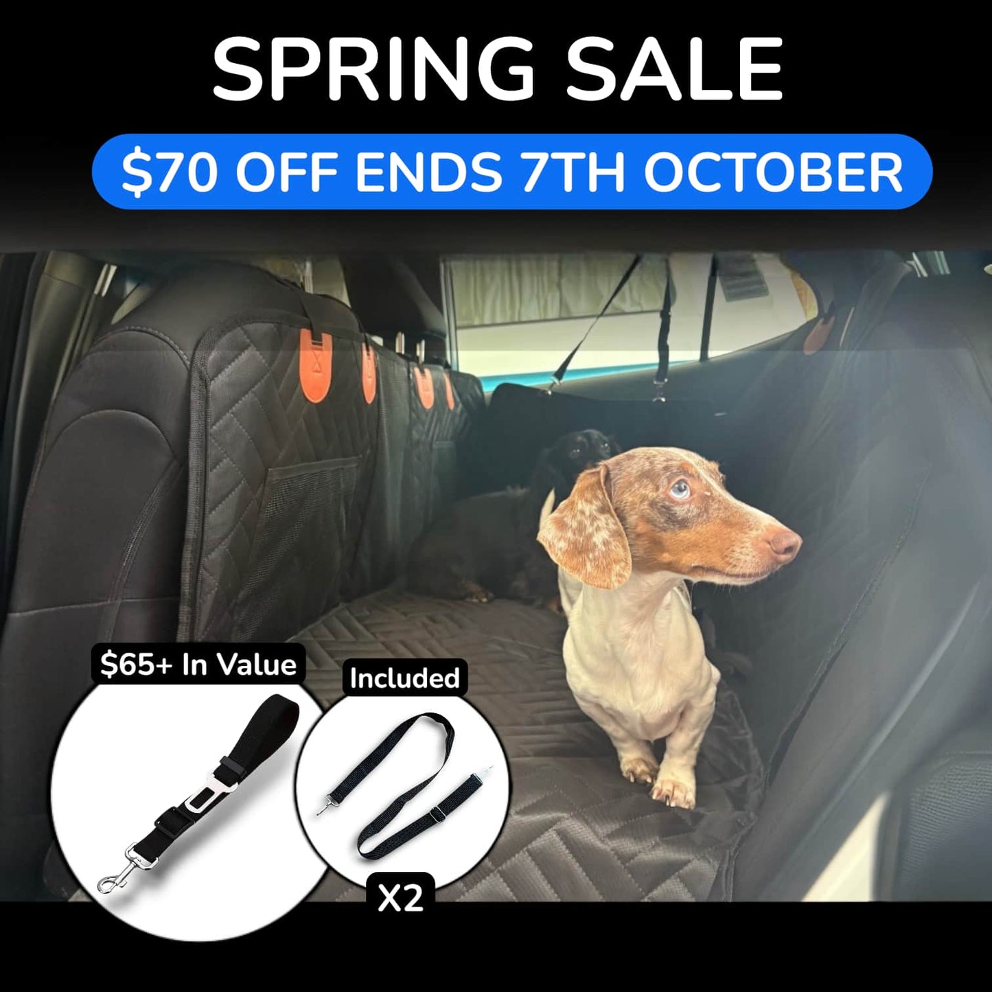 FluffGuard™ Safe Dogs, Spotless Cars - The Fluff Lab Australia