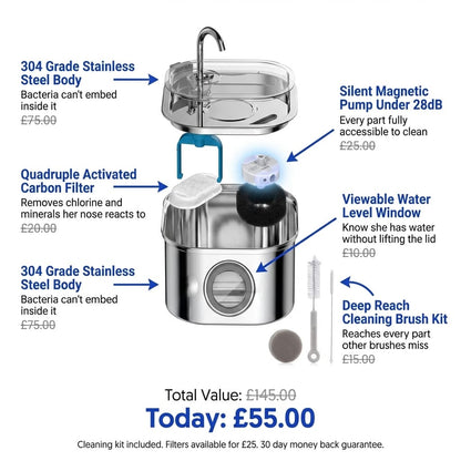 Stop Kidney Disease Before It Starts—lunea's Surgical - Grade Steel Prevents the Biofilm Plastic Fountains Can't - The Fluff Lab