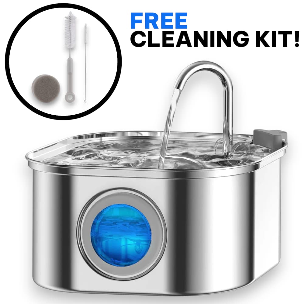 Stop Kidney Disease Before It Starts—lunea's Surgical - Grade Steel Prevents the Biofilm Plastic Fountains Can't - The Fluff Lab Australia