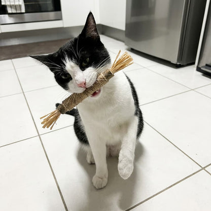 WildChew Silvervine Sticks - The Fluff Lab