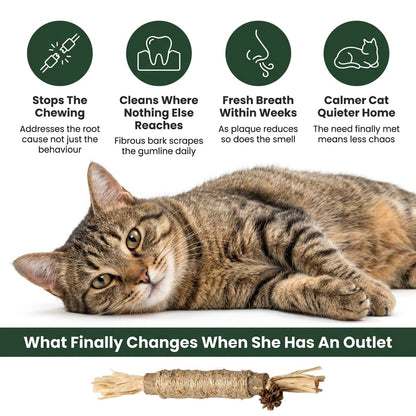 WildChew Silvervine Sticks - The Fluff Lab