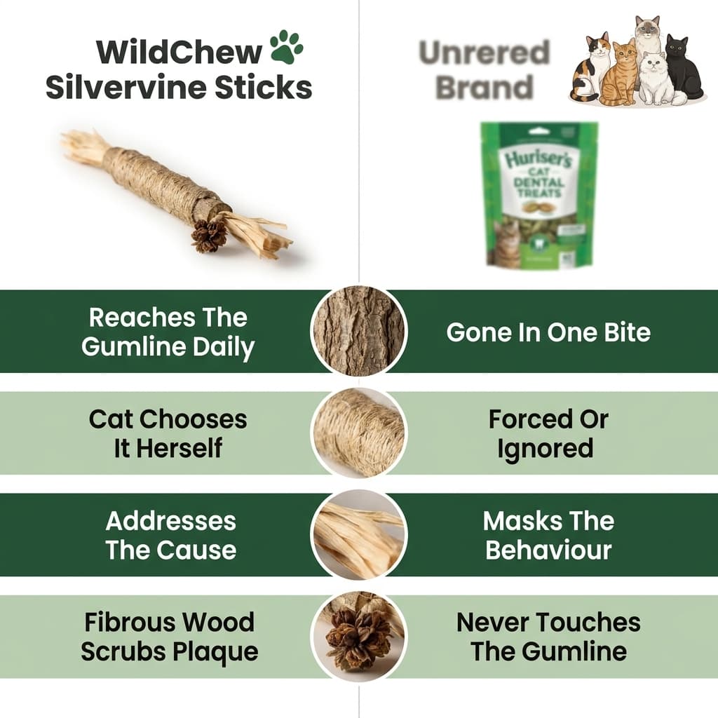 WildChew Silvervine Sticks - The Fluff Lab
