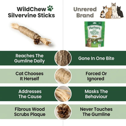 WildChew Silvervine Sticks - The Fluff Lab