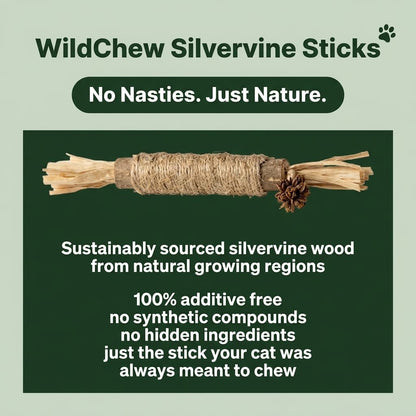 WildChew Silvervine Sticks - The Fluff Lab