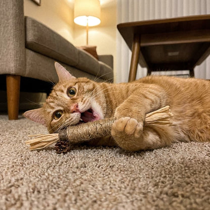 WildChew Silvervine Sticks - The Fluff Lab