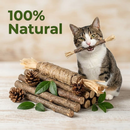WildChew Silvervine Sticks - The Fluff Lab